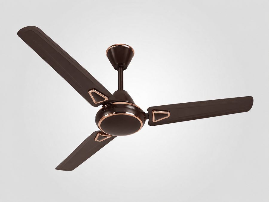 Ceiling fan installation service